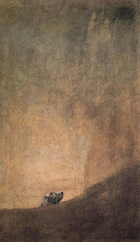 Francisco Goya The Dog oil painting image